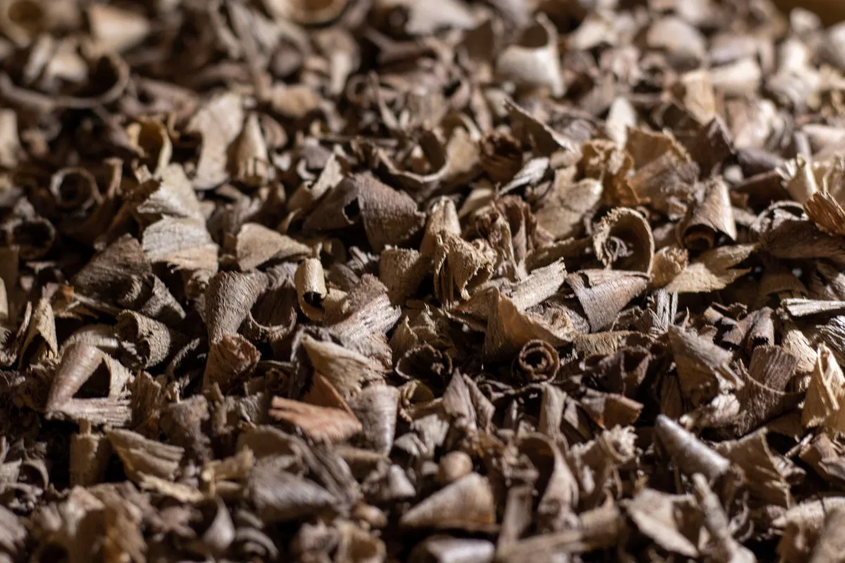 Copeaux de bois